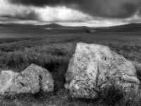 Sally Gap, Co. Wicklow